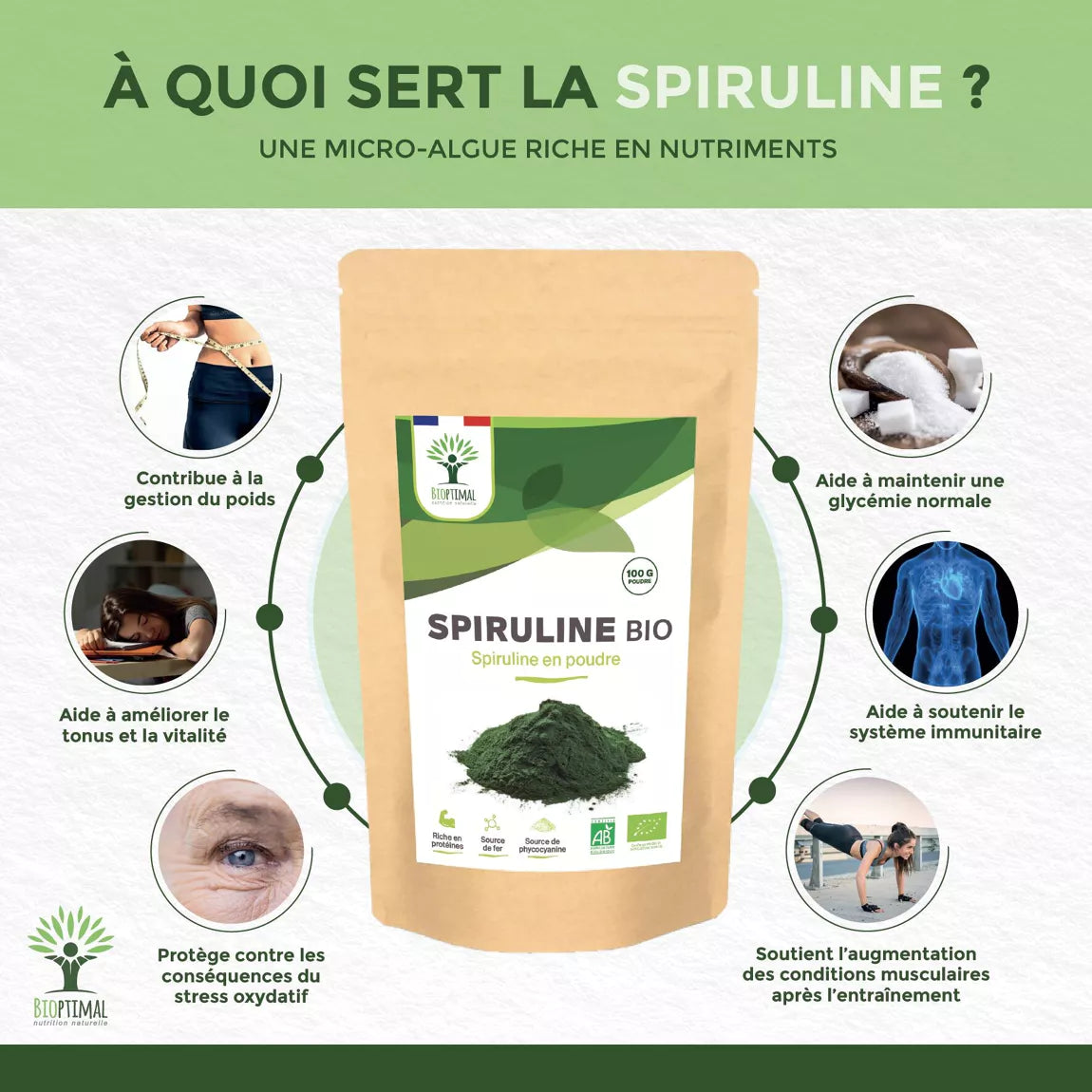 Spiruline Bio en poudre