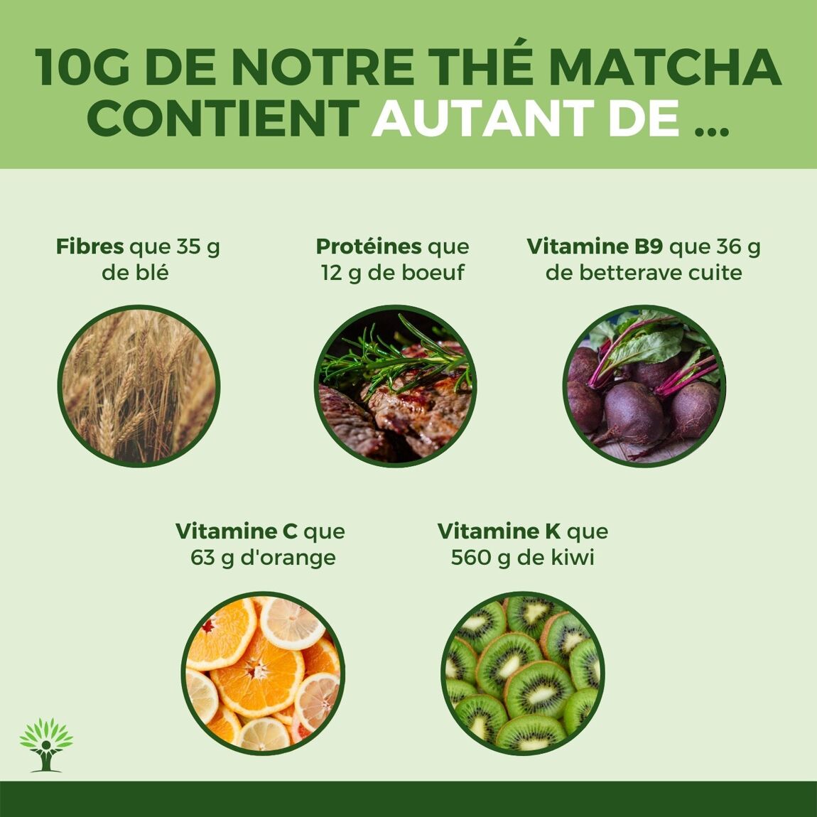 Thé matcha en poudre